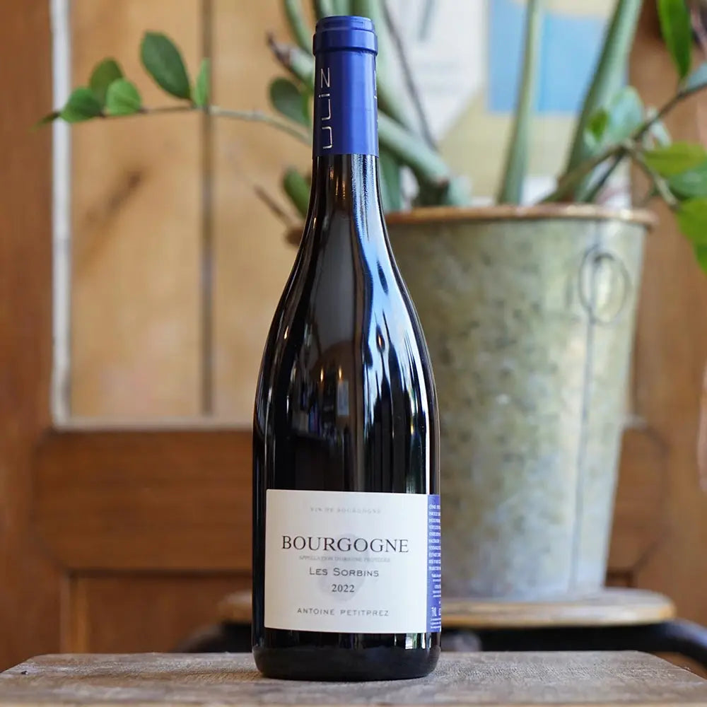 Bourgogne Rouge "Les Sorbins" 2022 - Antoine Petitprez