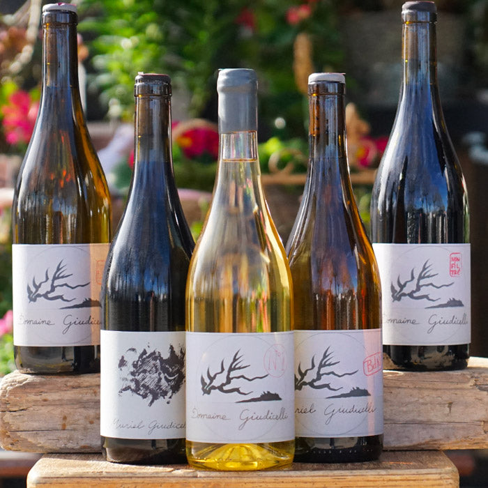 Muscat N.1 - 2023 - Muriel Giudicelli