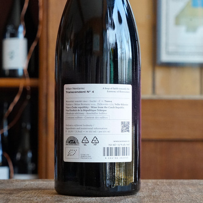 Transcendent N°4 - Milan Nestarec