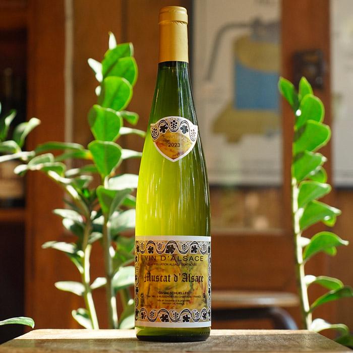 Muscat d'Alsace 2023 - Gérard Schueller