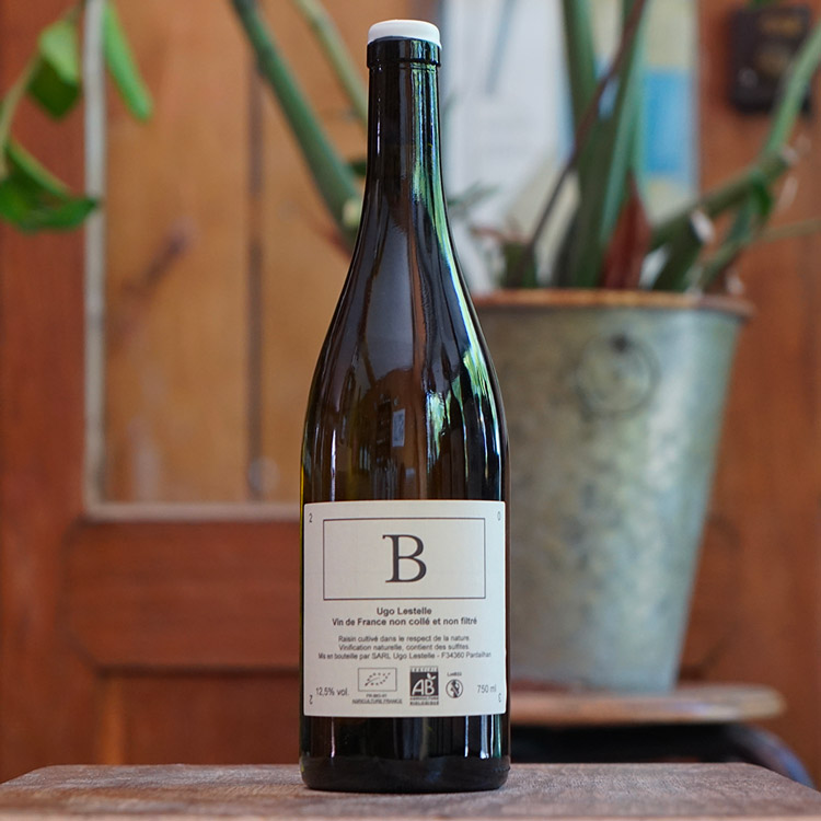 B 2023 - Ugo Lestelle