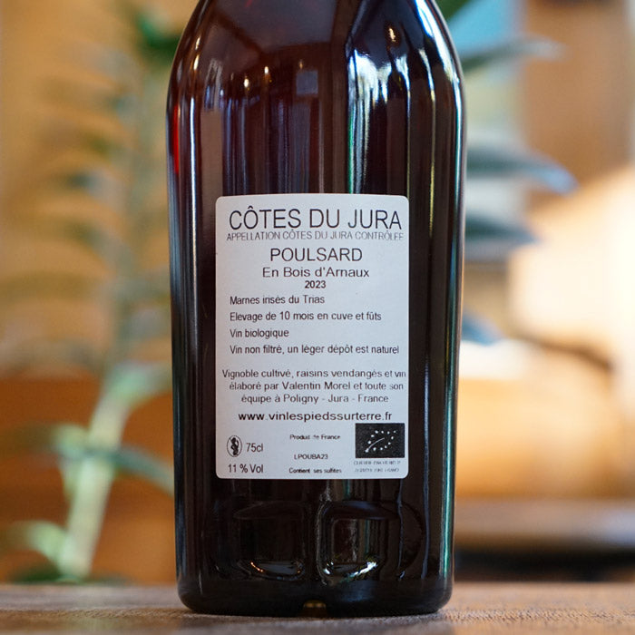 Poulsard Bois d'Arnaux 2023 - Valentin Morel
