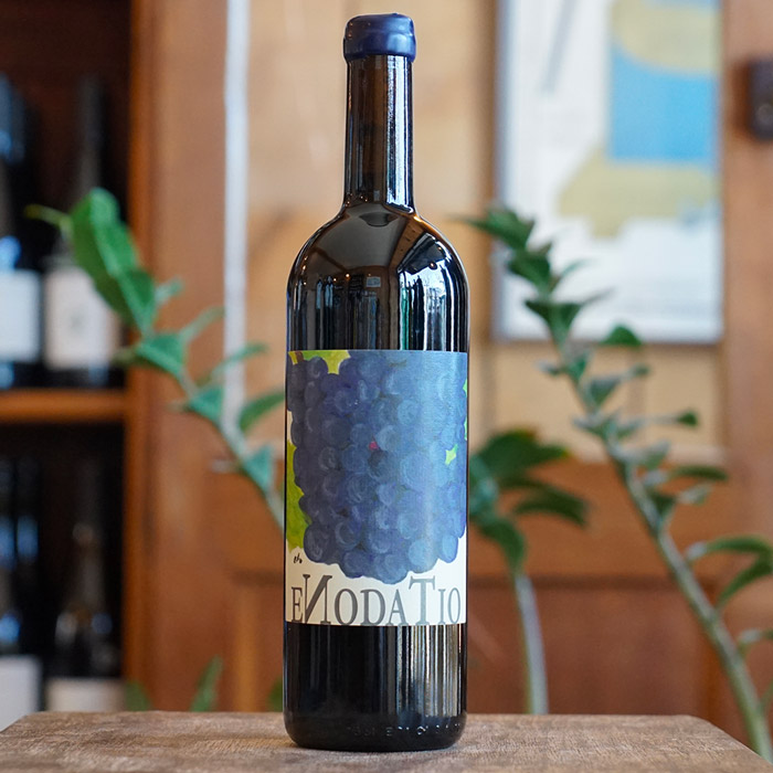 Langhe Merlot "Enodatio" 2019 - Elio Sandri