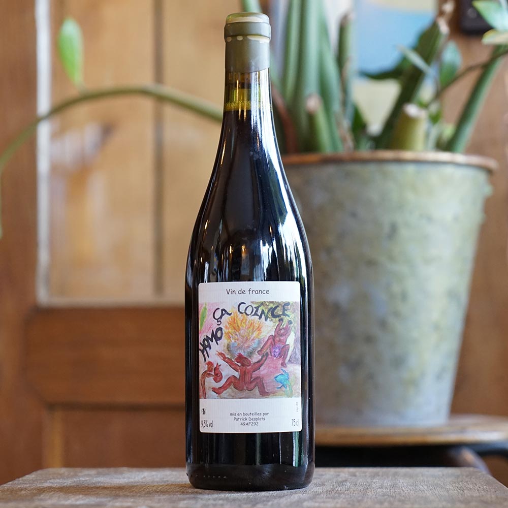 Homo ça coince 2022 - Patrick Desplats