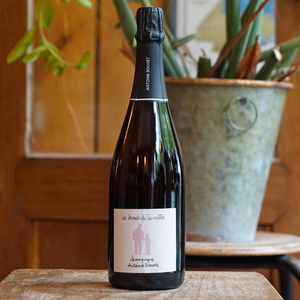 Les Monts de la Vallée Rosé - Antoine Bouvet