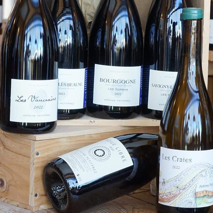 Bourgogne Rouge "Les Sorbins" 2022 - Antoine Petitprez