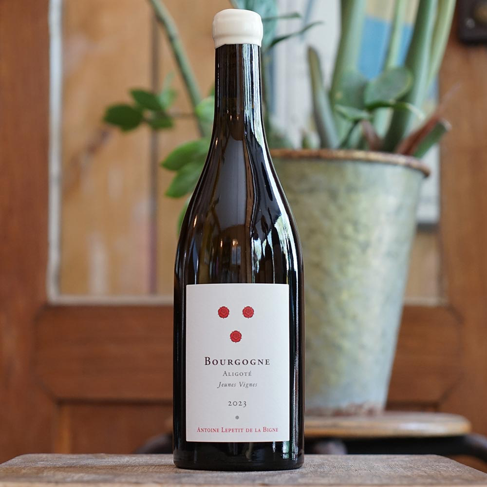 Bourgogne Aligoté "Jeune Vignes" 2023 - Antoine Lepetit de la Bigne