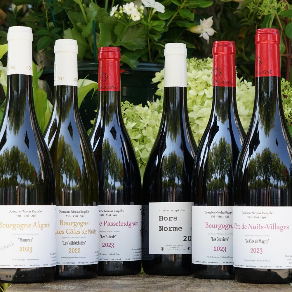 Aligoté "Monceau" 2023 - Nicolas Raspiller
