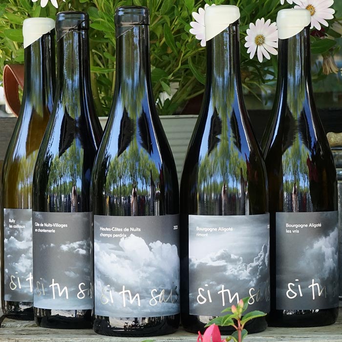 Côte de Nuits Villages "En Chantemerle" 2023 - Si Tu Sais