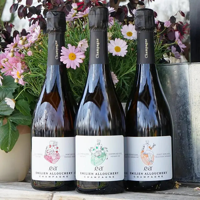 La Compagnie 2020 - Emilien Allouchery