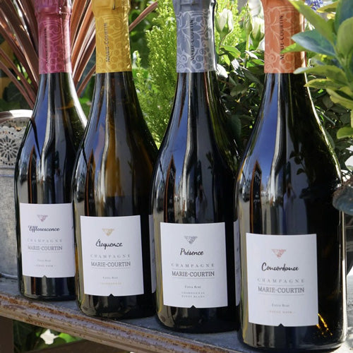 Efflorescence 2017 - Marie Courtin