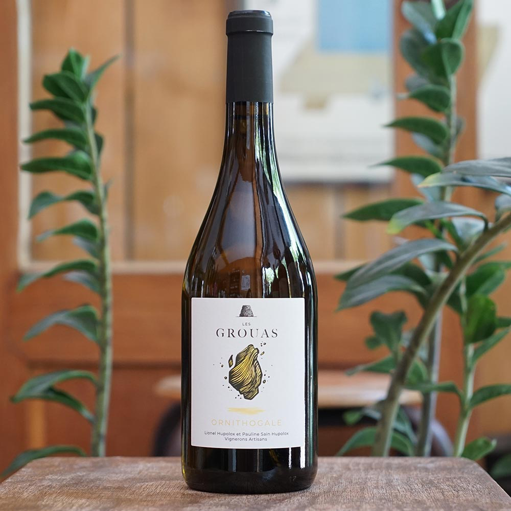 Ornithogale 2023 - Les Grouas