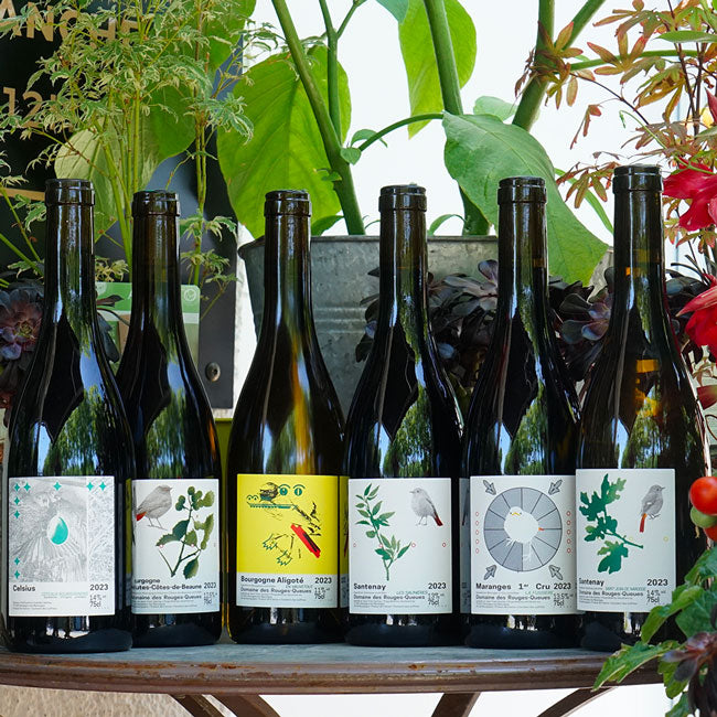 Maranges Blanc 2023 - Domaine des Rouges Queues