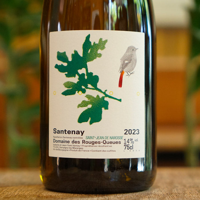 Santenay Blanc Saint-Jean de Narosse 2023 - Domaine des Rouges Queues