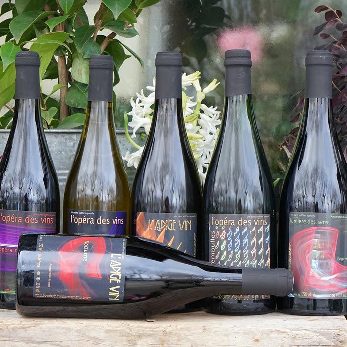 Iris 2023 - Jean-Pierre Robinot