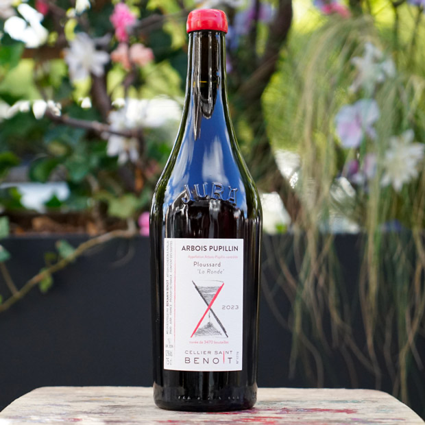 Ploussard "La Ronde" 2023 - Cellier Saint Benoit