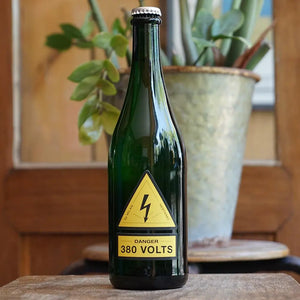 380 Volts 2023 - Milan Nestarec