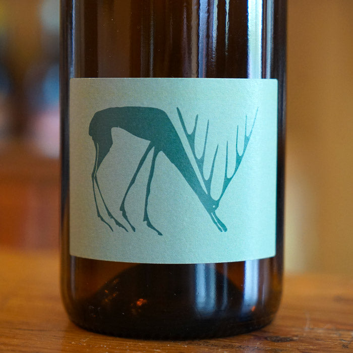 Annolium Blanc 2024 - Domaine des Trouillères