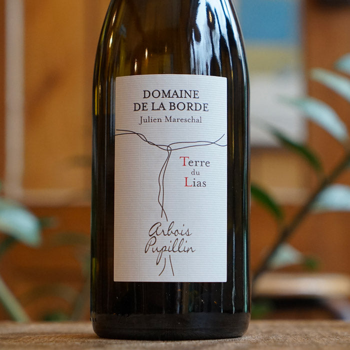 Chardonnay Terre du Lias 2024 - Domaine de la Borde