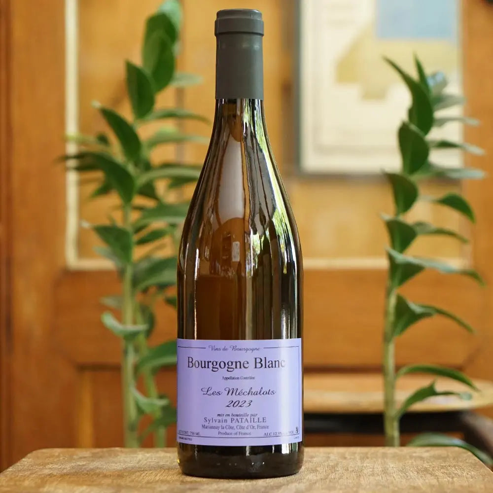 Bourgogne Méchalots 2023 - Sylvain Pataille