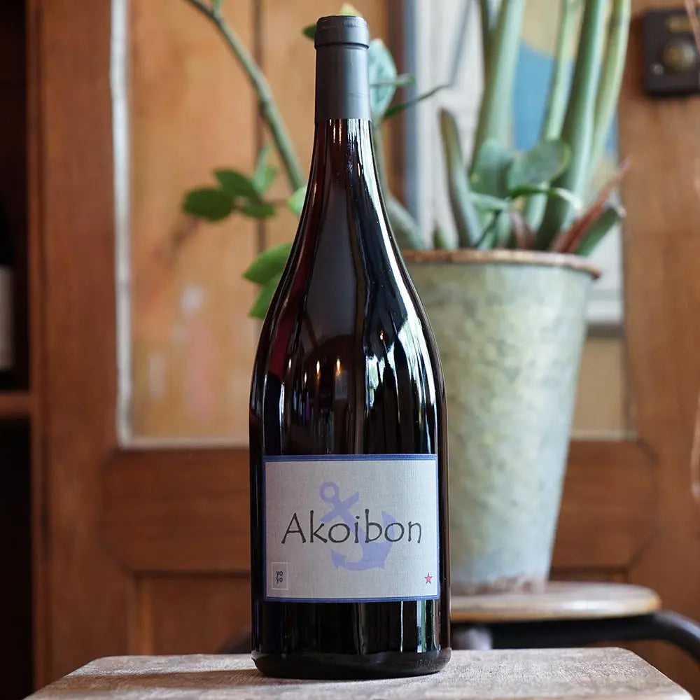 Akoibon 2024 Magnum - Yoyo