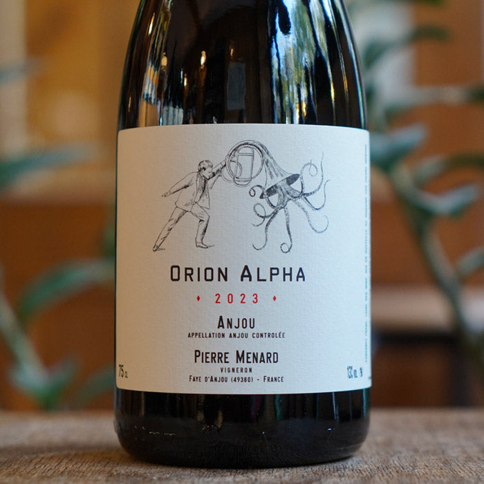 Orion Alpha 2023 - Pierre Ménard