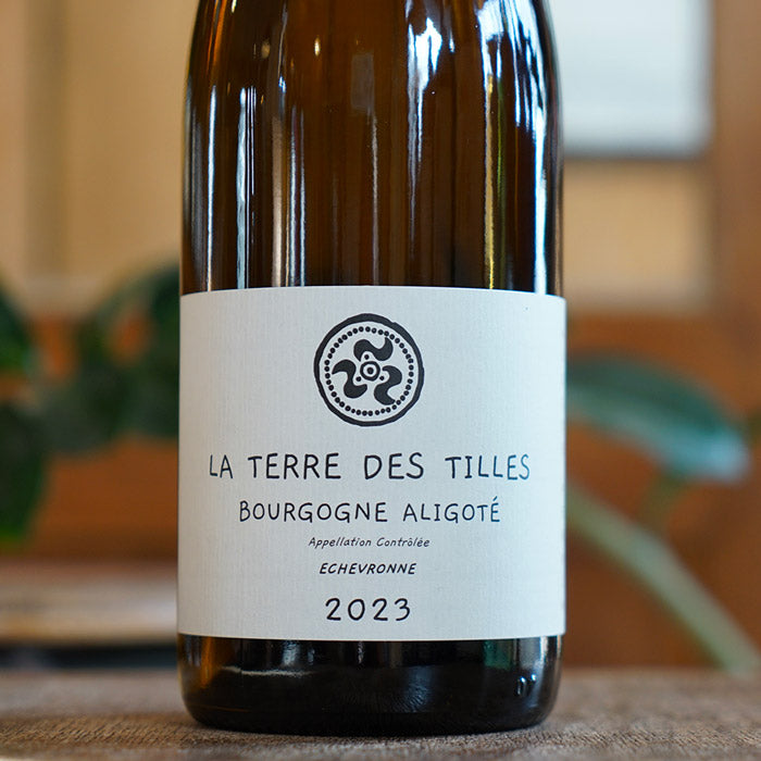 Aligoté Echevronne 2023 - La Terre des Tilles