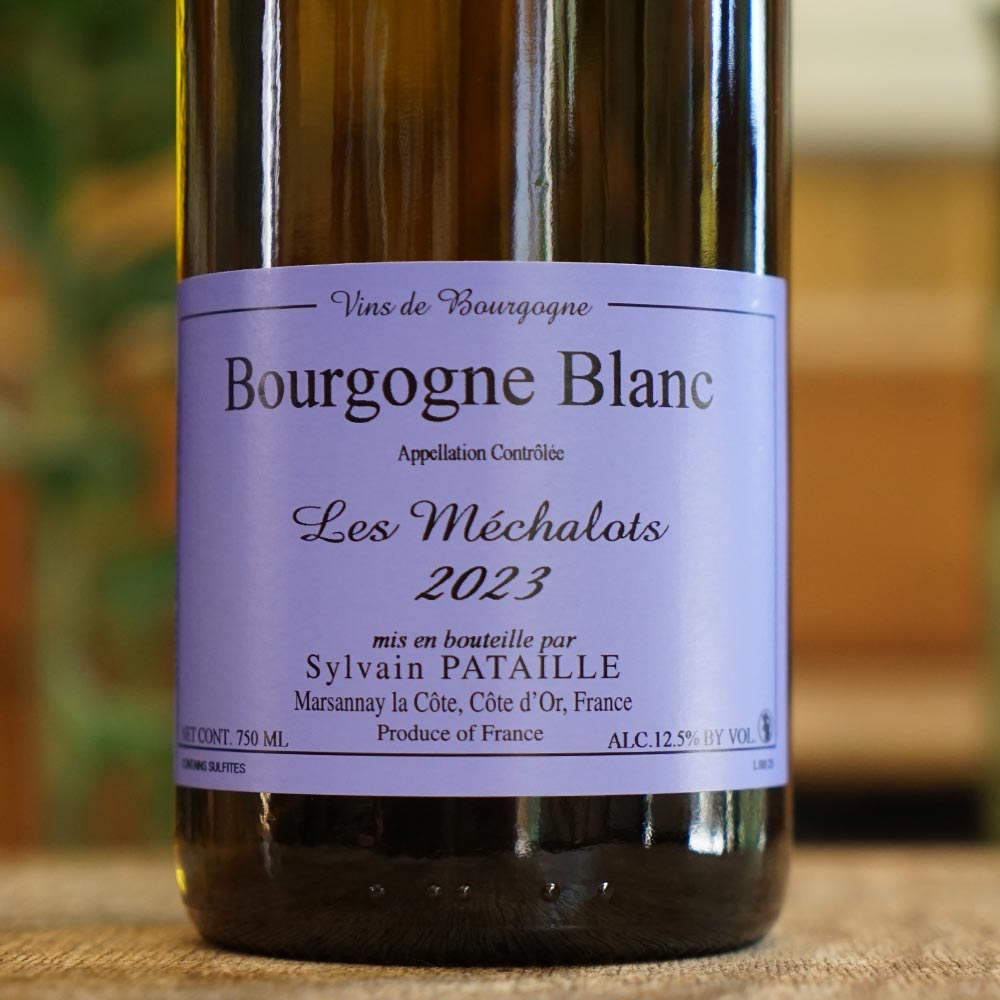 Bourgogne Méchalots 2023 - Sylvain Pataille
