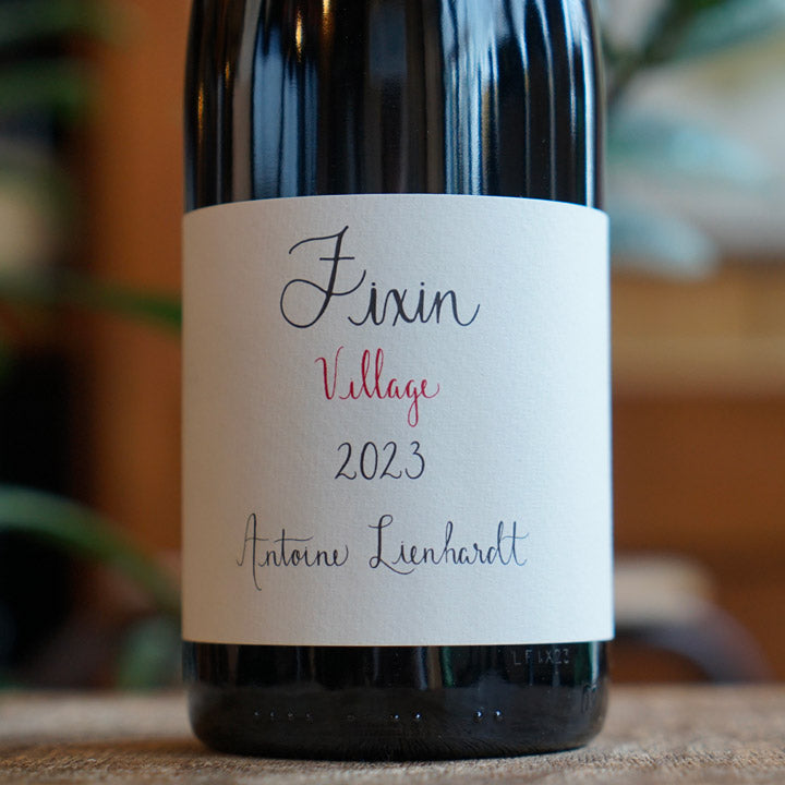 Fixin 2023 - Antoine Lienhardt