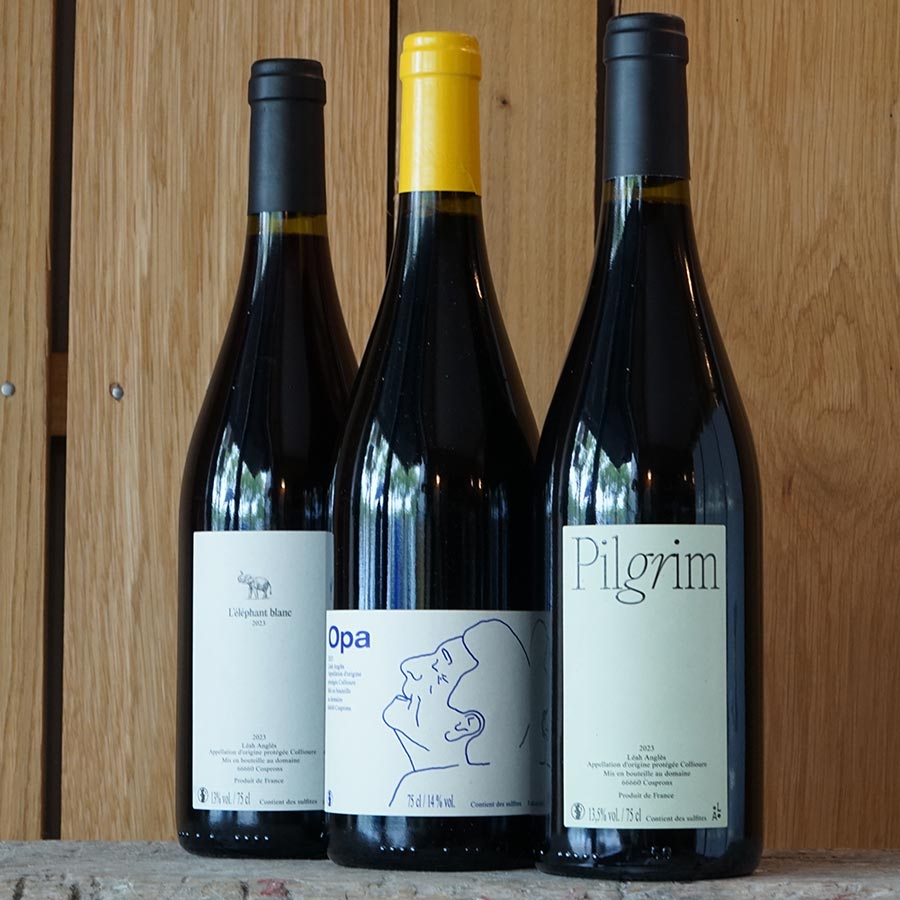 L'éléphant Blanc 2023 - Leah Angles