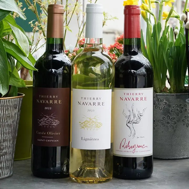 Lignieres Blanc 2023 - Domaine Navarre