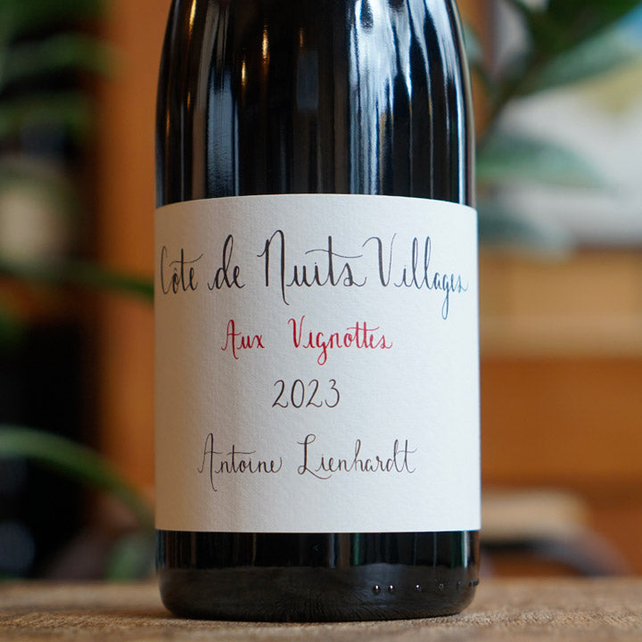 Côte de Nuits Villages "Aux Vignottes" 2024 - Antoine Lienhardt