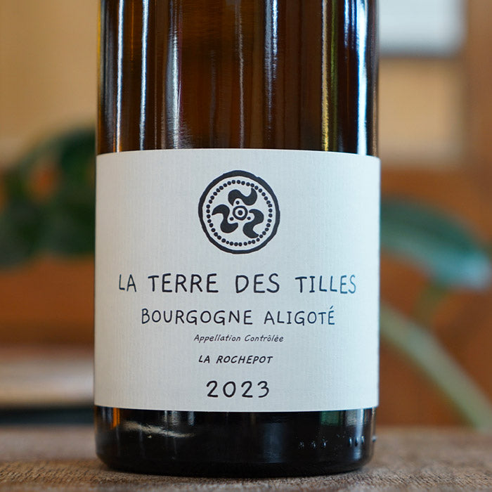 Aligoté la Rochepot 2023 - La Terre des Tilles
