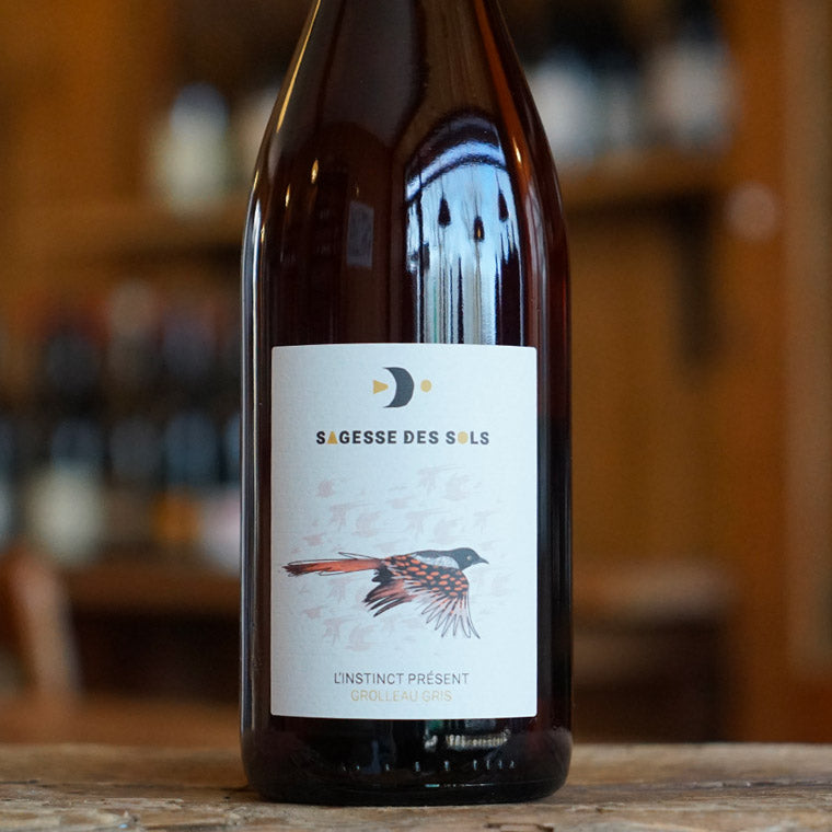 L'Instinct Présent 2023 - Sagesse des Sols