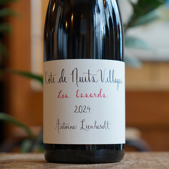 Côte de Nuits Villages "Les Essards" 2024 - Antoine Lienhardt