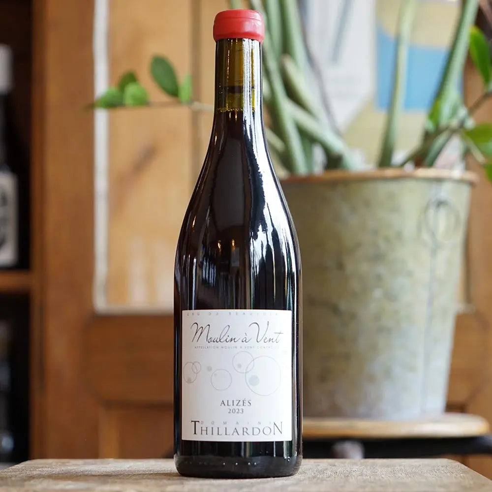 Alizés 2023 - Domaine Thillardon