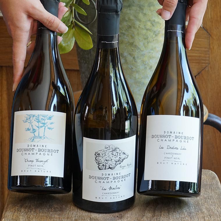 Les Moulins 2022 - Billy Doussot