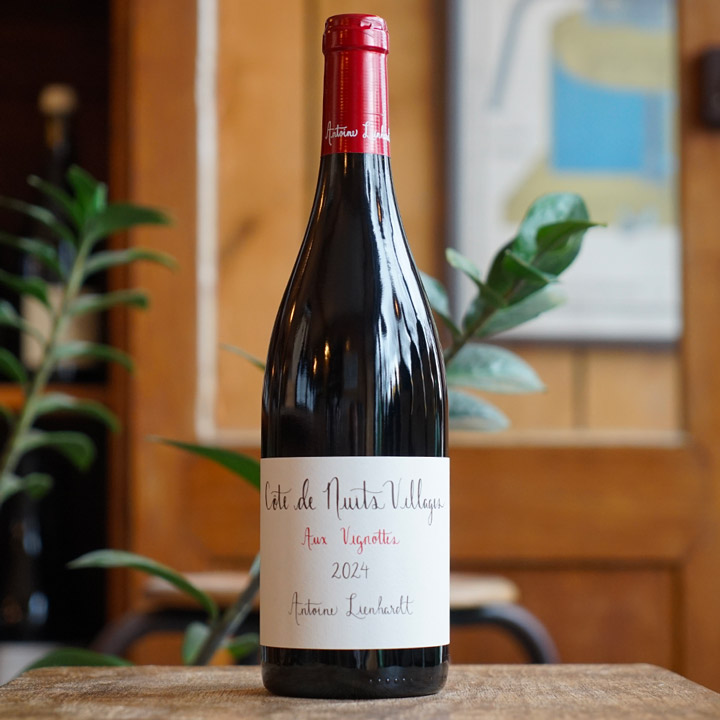 Côte de Nuits Villages "Aux Vignottes" 2024 - Antoine Lienhardt