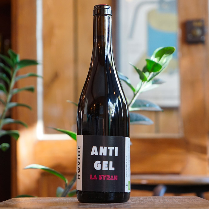 La Syrah 2024 - NOVICE