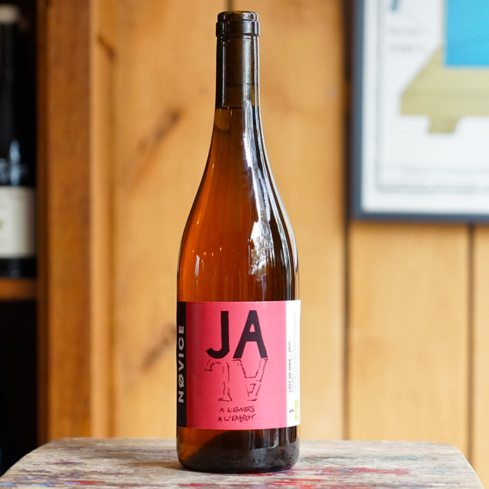 JAJA 2025 - NOVICE
