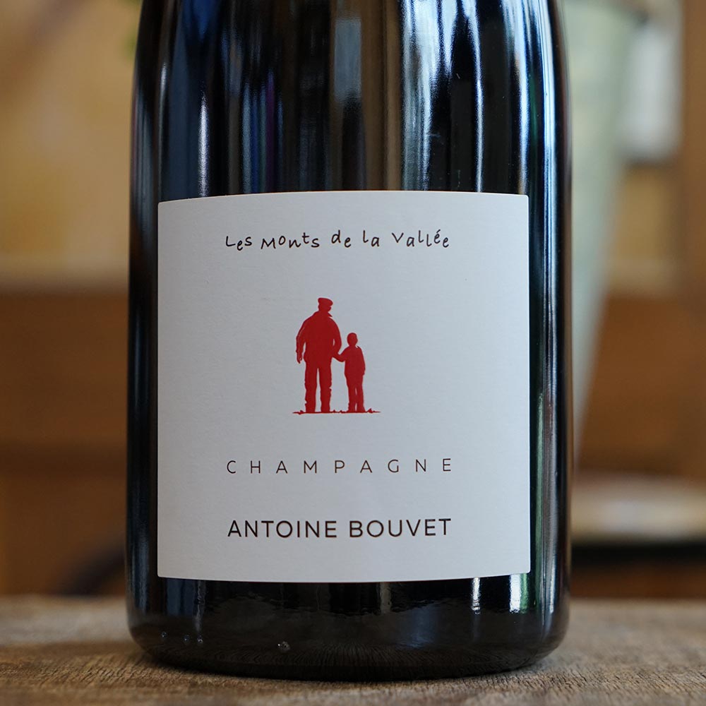 Les Monts de la Vallée Rosé Magnum - Antoine Bouvet