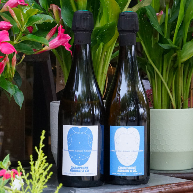 1000% Pinot Noir 2021 - Thomas Herbert