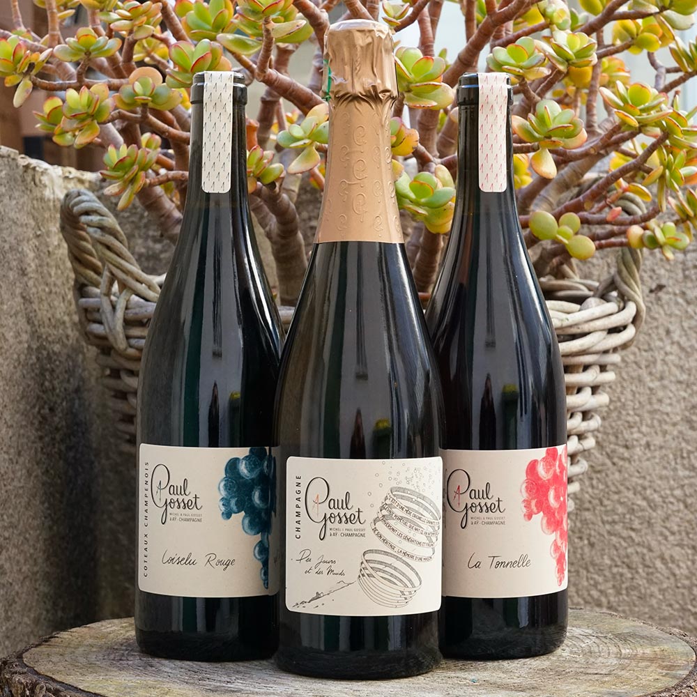La Tonnelle 2023 - Paul Gosset