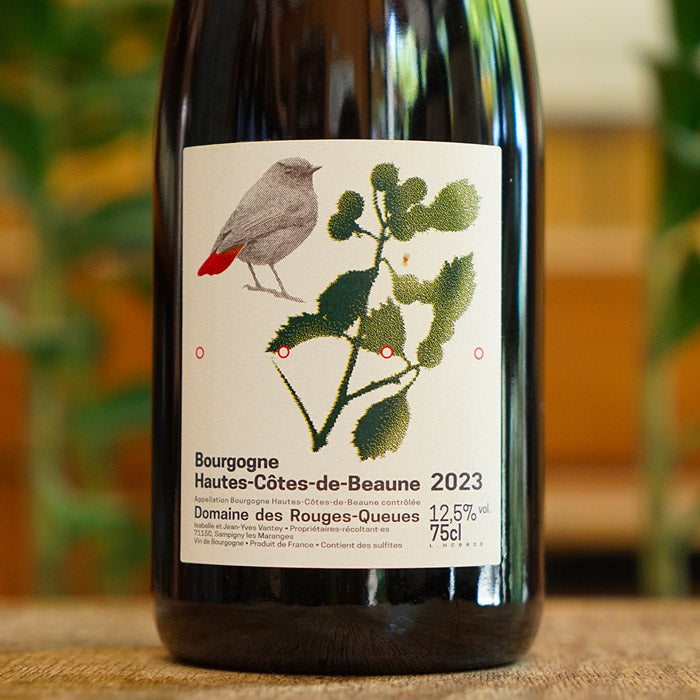 Hautes-Côtes de Beaune Rouge 2023 - Domaine des Rouges Queues