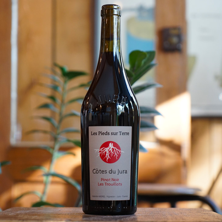 Pinot Noir 2022 - Valentin Morel - Marée Haute Vins Vivants