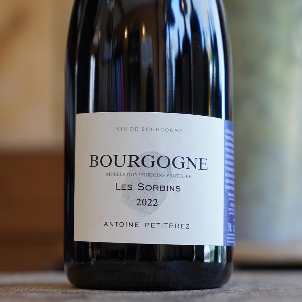 Bourgogne Rouge "Les Sorbins" 2022 - Antoine Petitprez