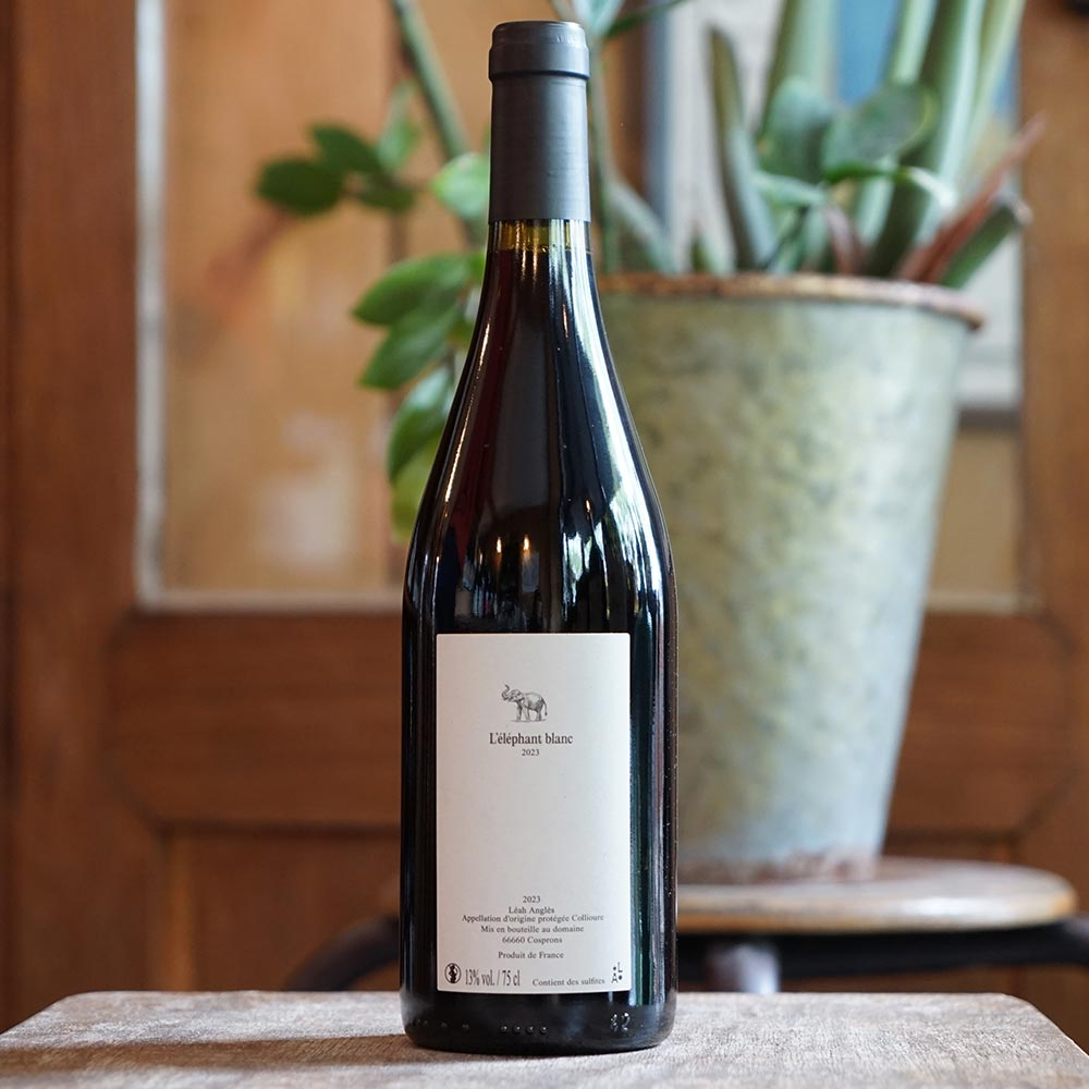 L'éléphant Blanc 2023 - Leah Angles