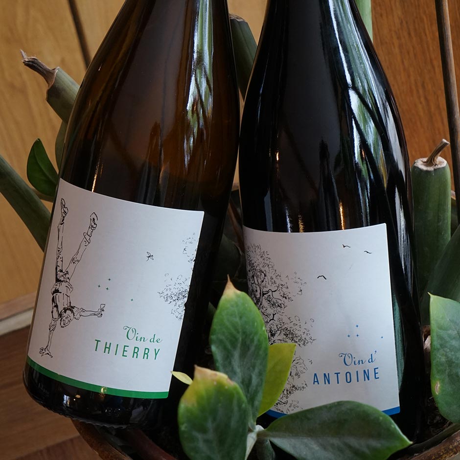 Wine of Antoine - Saint Nicolas
