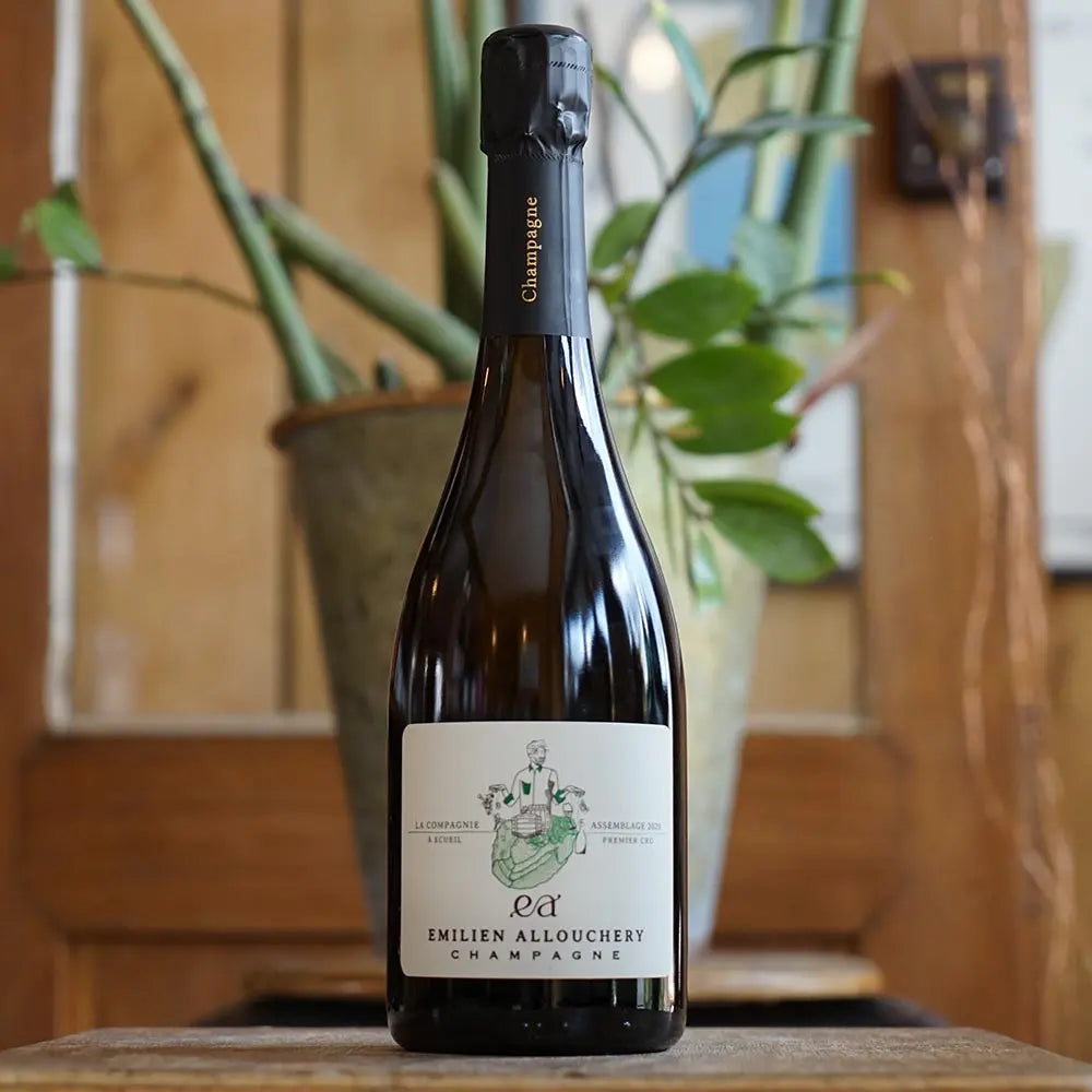 La Compagnie 2020 - Emilien Allouchery