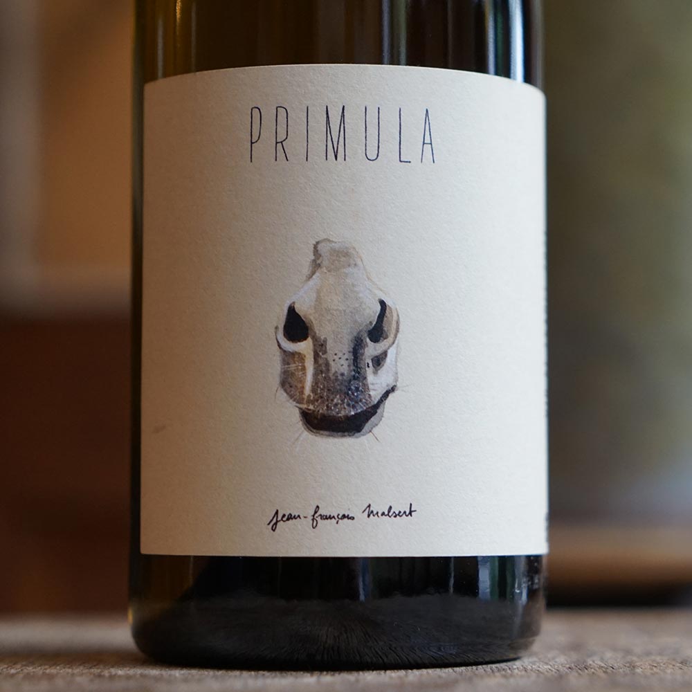 Primula 2021 - Domaine de l'Iserand
